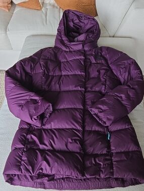 The North Face New Dealio Down Parka 550 Women M Gorpcore Heritage Waterproof